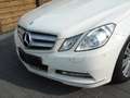 Mercedes-Benz E 350 CDI+XENON+LEDER+TOPZUSTAND ! Blanc - thumbnail 15