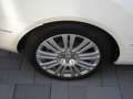 Mercedes-Benz E 350 CDI+XENON+LEDER+TOPZUSTAND ! Blanc - thumbnail 17