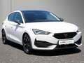 CUPRA Leon 1.5 eTSI DSG Navi/LED/SHZ/Pano Weiß - thumbnail 3