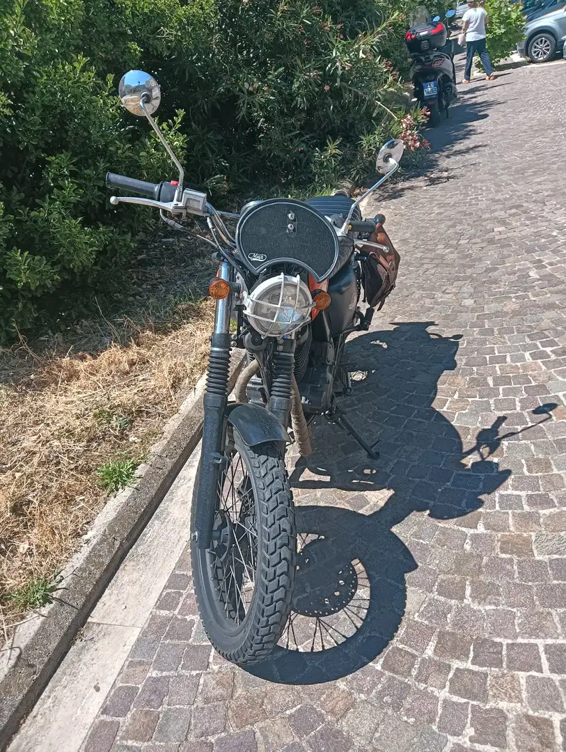 Mash Scrambler Oranj - 1