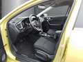 Kia Ceed / cee'd Vision CRDi Mild Hybrid EU6d 1.6  Navi digitales C Yellow - thumbnail 7