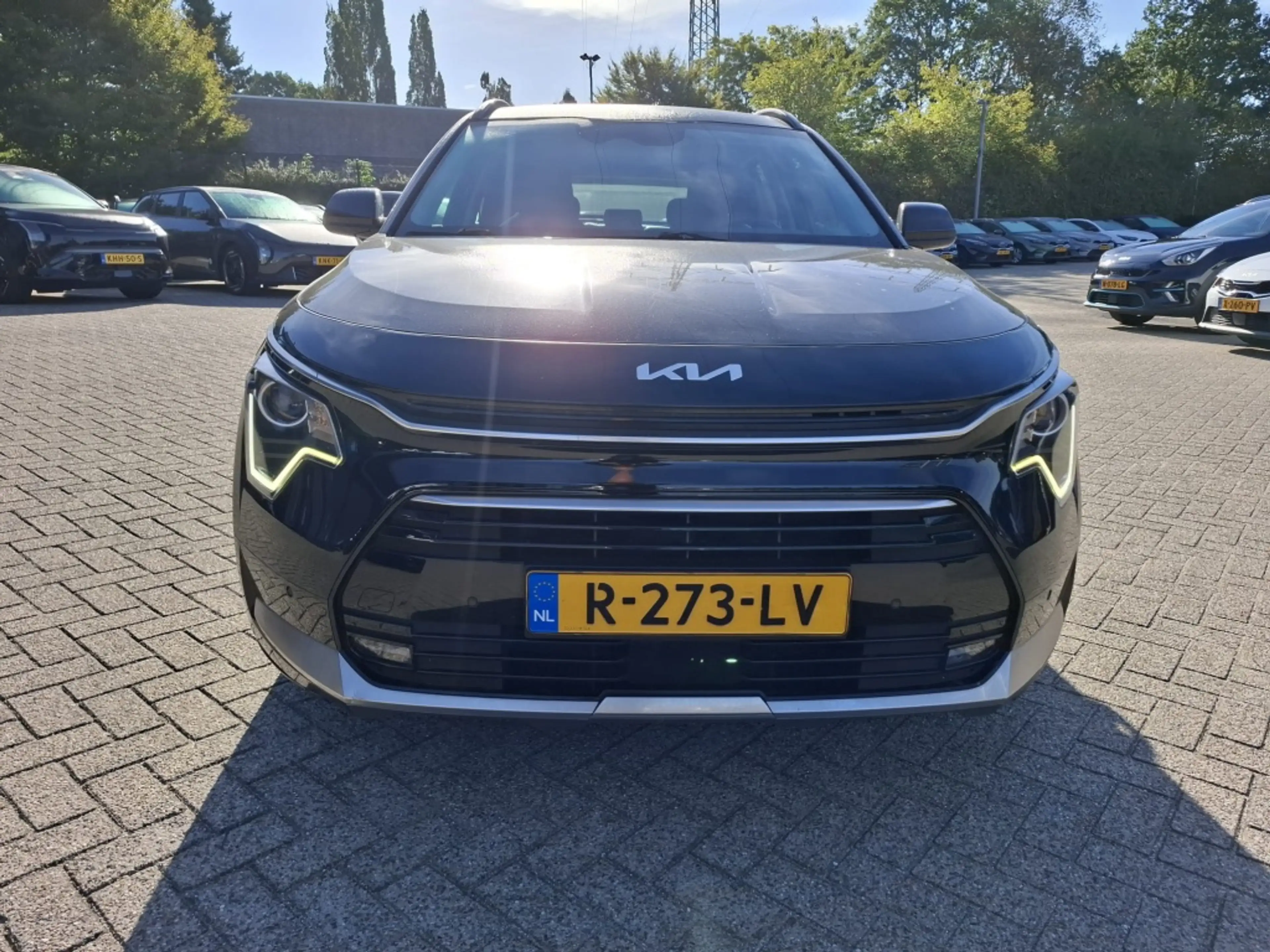 Kia Niro 1.6 HEV Dynamicline — photo 6