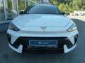 CUPRA Leon LEON SPORTSTOURER 2.0 TSI DSG 4DRIVE MATRIX-LED Weiß - thumbnail 16