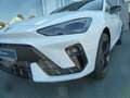 CUPRA Leon LEON SPORTSTOURER 2.0 TSI DSG 4DRIVE MATRIX-LED Weiß - thumbnail 17