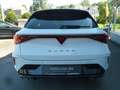 CUPRA Leon LEON SPORTSTOURER 2.0 TSI DSG 4DRIVE MATRIX-LED Weiß - thumbnail 25