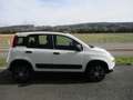 Fiat Panda Wild 4x4 Weiß - thumbnail 2