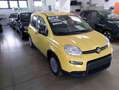 Fiat Panda 1.0 FireFly S&S Hybrid PANDINA ADAS Giallo - thumbnail 5