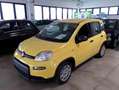 Fiat Panda 1.0 FireFly S&S Hybrid PANDINA ADAS Giallo - thumbnail 1
