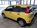 Fiat Panda 1.0 FireFly S&S Hybrid PANDINA ADAS Giallo - thumbnail 9
