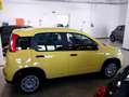 Fiat Panda 1.0 FireFly S&S Hybrid PANDINA ADAS Giallo - thumbnail 7