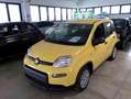 Fiat Panda 1.0 FireFly S&S Hybrid PANDINA ADAS Giallo - thumbnail 2