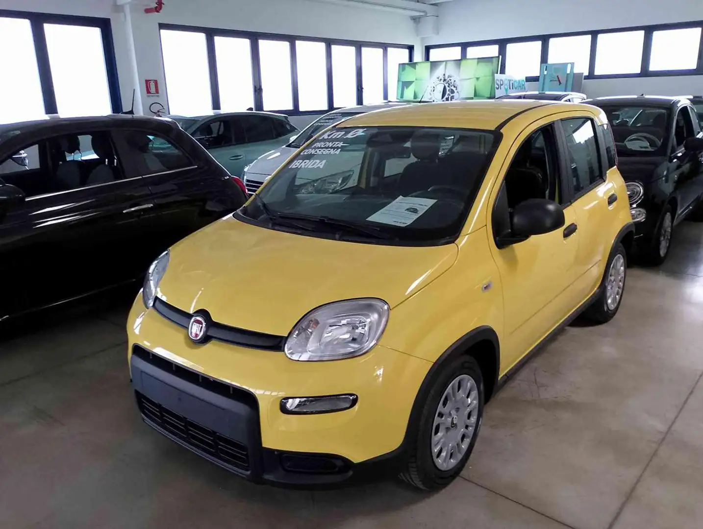 Fiat Panda 1.0 FireFly S&S Hybrid PANDINA ADAS Giallo - 2