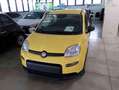 Fiat Panda 1.0 FireFly S&S Hybrid PANDINA ADAS Giallo - thumbnail 3