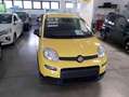 Fiat Panda 1.0 FireFly S&S Hybrid PANDINA ADAS Giallo - thumbnail 4