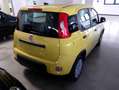 Fiat Panda 1.0 FireFly S&S Hybrid PANDINA ADAS Giallo - thumbnail 6