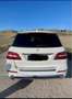 Mercedes-Benz ML 250 bt Premium 4matic auto Weiß - thumbnail 2