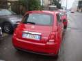 Fiat 500 1.0 hybrid Cult 70cv Rot - thumbnail 2