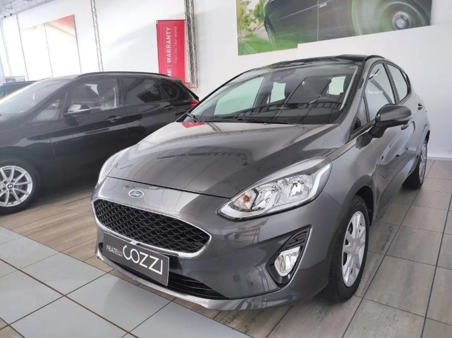 Ford Fiesta 7ª serie - Fiesta 1.1 75 CV GPL 5 porte Business Grigio - 2