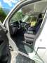 Volkswagen T6.1 California California Beach Edition Weiß - thumbnail 6