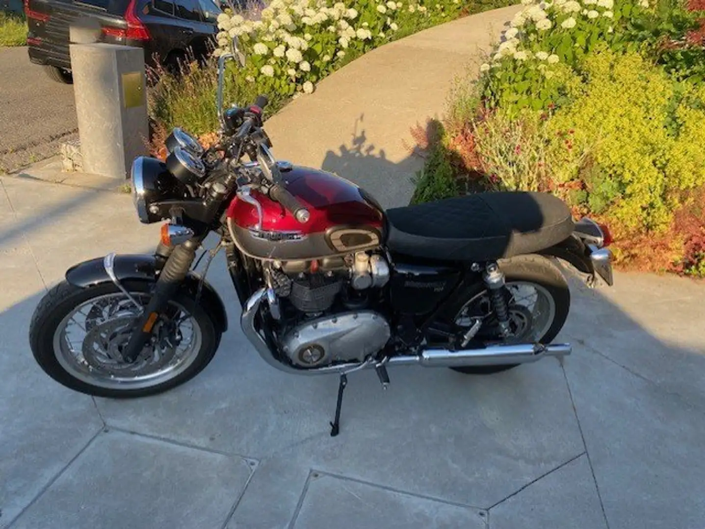 Triumph Bonneville T120 Rood - 1