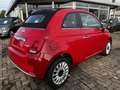 Fiat 500 C 1.0 GSE Hybrid Dolcevita Rot - thumbnail 5