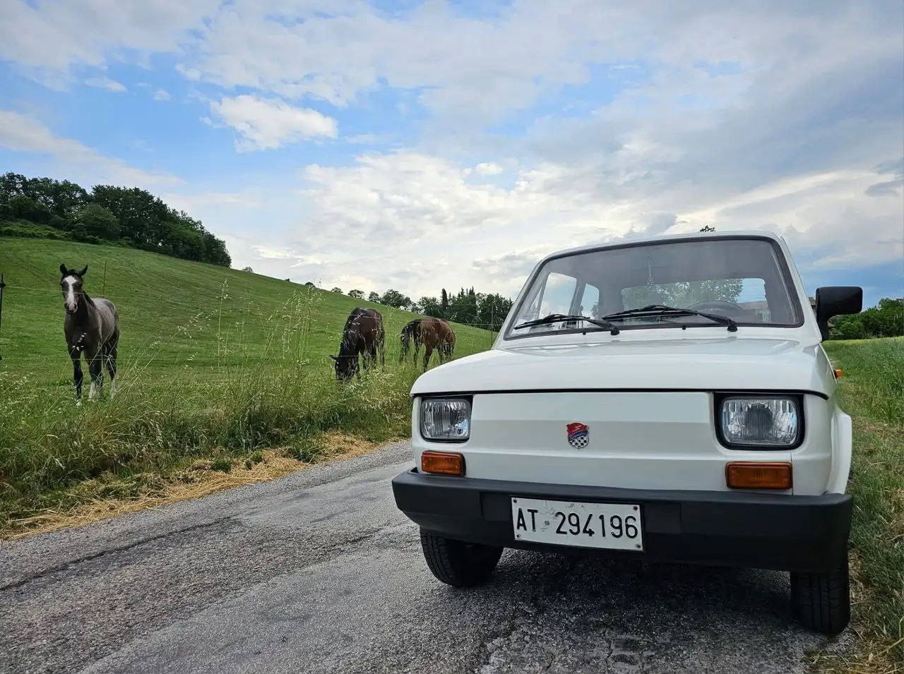 Fiat 126 GP 650 Giannini - Asi, foto 3