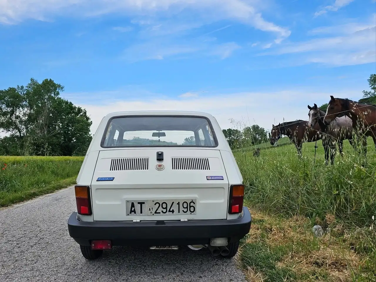 Fiat 126 GP 650 Giannini - Asi, foto 4