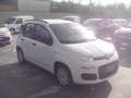 Fiat Panda Panda III 2012 1.2 Easy 69cv Weiß - thumbnail 5