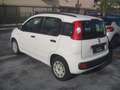 Fiat Panda Panda III 2012 1.2 Easy 69cv Weiß - thumbnail 3