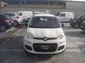 Fiat Panda Panda III 2012 1.2 Easy 69cv Weiß - thumbnail 2