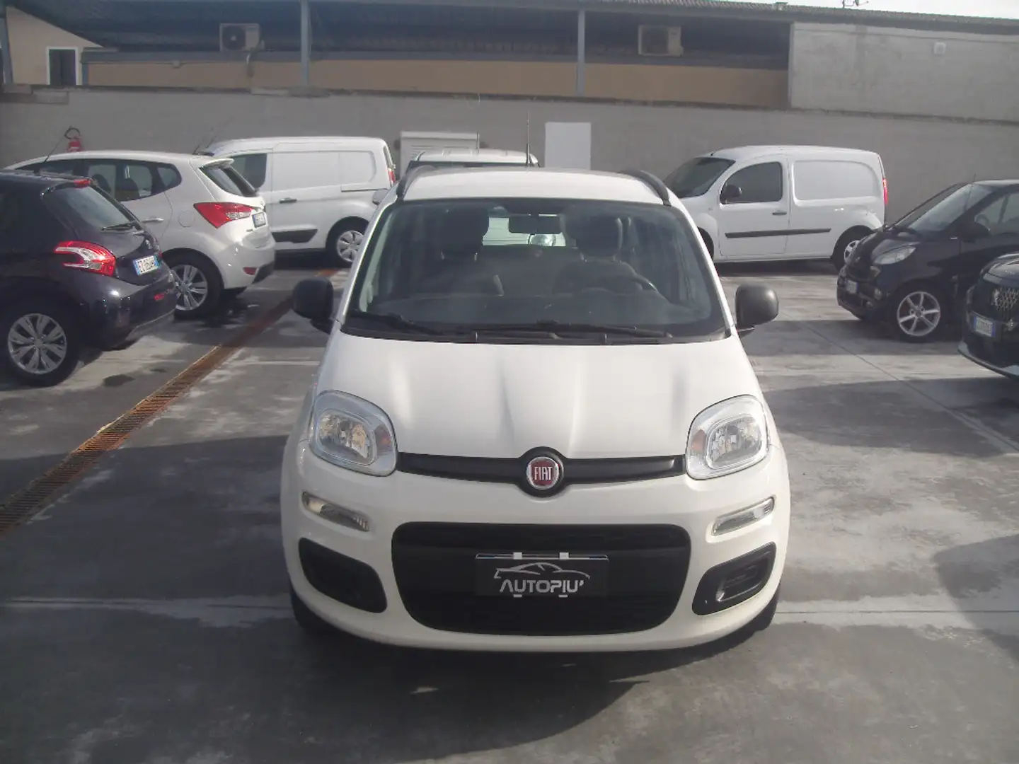 Fiat Panda Panda III 2012 1.2 Easy 69cv Weiß - 2