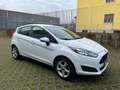 Ford Fiesta 5p 1.5 tdci Business 75cv E6 Bianco - thumbnail 7