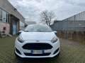 Ford Fiesta 5p 1.5 tdci Business 75cv E6 Bianco - thumbnail 3