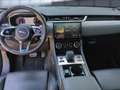 Jaguar F-Pace D200 R-Dynamic SE AWD AHK/Pano/Winter Navi Blanc - thumbnail 9