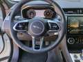 Jaguar F-Pace D200 R-Dynamic SE AWD AHK/Pano/Winter Navi Blanc - thumbnail 8