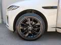 Jaguar F-Pace D200 R-Dynamic SE AWD AHK/Pano/Winter Navi Blanc - thumbnail 11