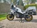 CFMOTO 800 MT Explore - 2024 - 3.288 km - kofferset + extras Fehér - thumbnail 1