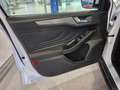 Ford Focus 1.0 Flexifuel mHEV 125ch Titanium X Business - thumbnail 14