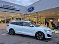 Ford Focus 1.0 Flexifuel mHEV 125ch Titanium X Business - thumbnail 11