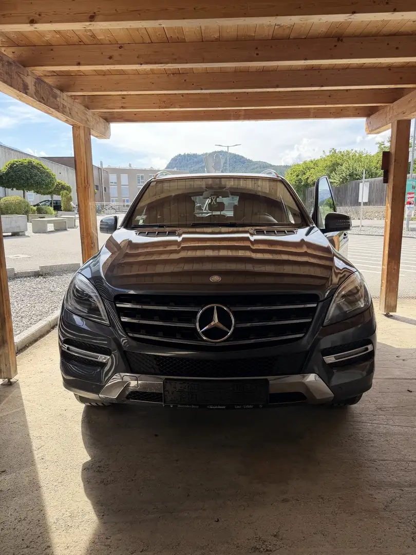 Mercedes-Benz ML 250 BlueTEC 4MATIC Aut. DPF - 1