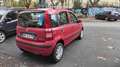 Fiat Panda 1.2 Climbing Natural Power Rot - thumbnail 4