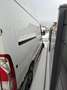 Opel Movano Movano L2H2 2,3 CDTI 3,5t DPF PICKERL 11/26 TOP Weiß - thumbnail 6