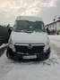 Opel Movano Movano L2H2 2,3 CDTI 3,5t DPF PICKERL 11/26 TOP Weiß - thumbnail 2