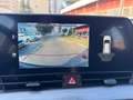 Kia Sportage 1.6 CRDi MHEV Business ''AUTOCARRO N1'' Bianco - thumbnail 10
