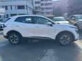 Kia Sportage 1.6 CRDi MHEV Business ''AUTOCARRO N1'' Bianco - thumbnail 7