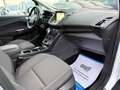 Ford Grand C-Max Titanium Automatik 7 Sitzer Blanco - thumbnail 14