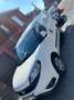 Fiat Doblo 1.3 Multijet Base Work-Up (EU6) bijela - thumbnail 1