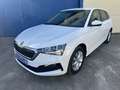Skoda Scala 1.0 TSI Ambition 70kW Blanco - thumbnail 2