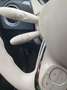 Fiat 500C 1.0 hybrid Club 70cv - thumbnail 11