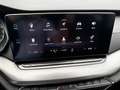 Skoda Octavia Combi 2,0 TDI 4x4 Ambition DSG Silber - thumbnail 15